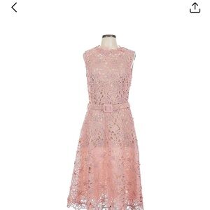 Oscar de la Renta Pink Lace Midi Dress